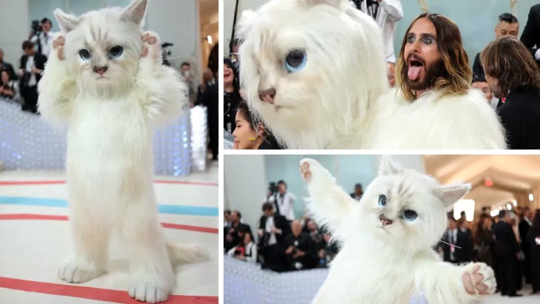 5. Jared Leto gave everyone paws