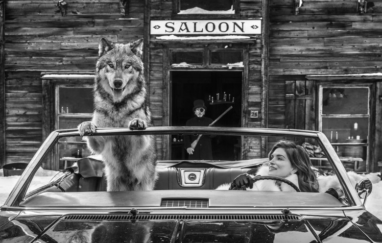 Wildlife and Celebrity Photographer Reveals Secrets Behind Most Iconic Shots